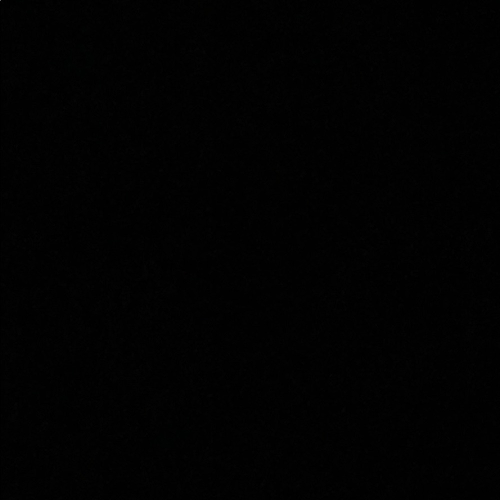 Meet your Posher, Priscilla